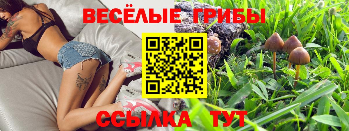 Псилоцибиновые грибы прущие грибы Нефтекамск